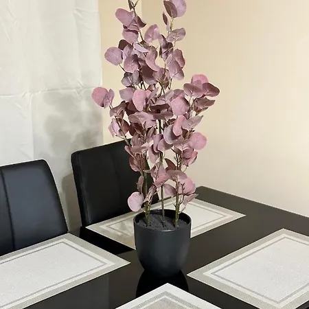 Moderns, Gaiss, Plass! A++ 3 Istabu Dzivoklis Appartement *