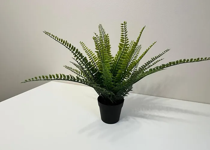 アパート Moderns, Gaiss, Plass! A++ 3 Istabu Dzivoklis *