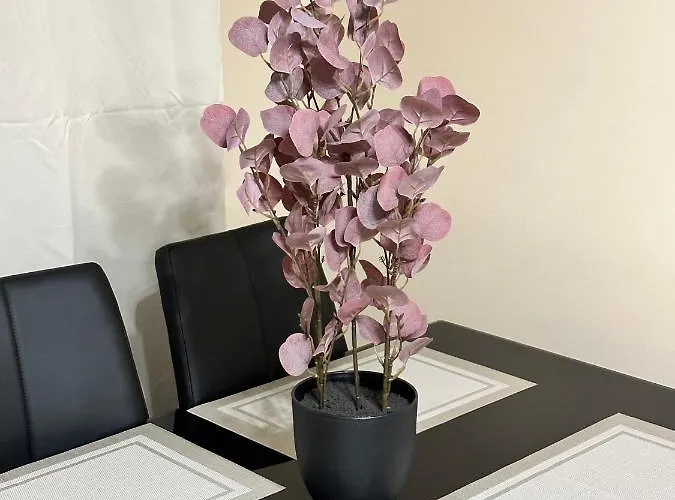 Moderns, Gaiss, Plass! A++ 3 Istabu Dzivoklis 아파트 *